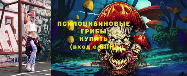 стаф Белокуриха