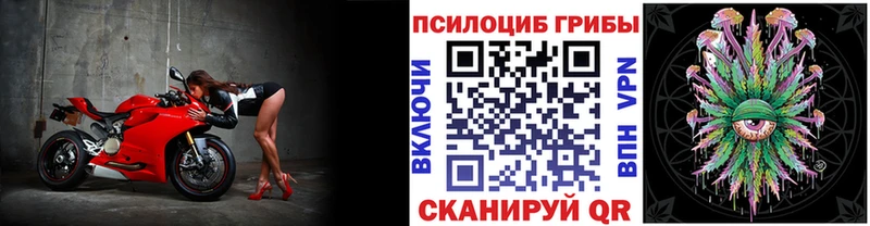 Галлюциногенные грибы Cubensis  Трубчевск 